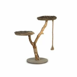 Designed By Lotte Abre à Chat Elora