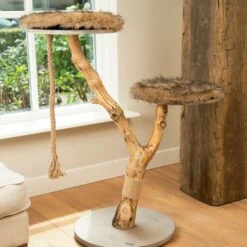 Designed By Lotte Abre à Chat Elora -Promos Wanimo Boutique abre a chat elora designed by lotte 3