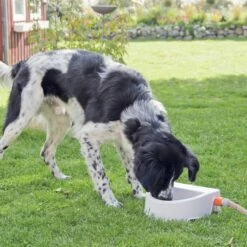 Trixie Abreuvoir Extérieur Automatique