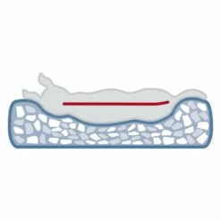 Trixie Abri Vital Noah -Promos Wanimo Boutique abri vital noah trixie 6