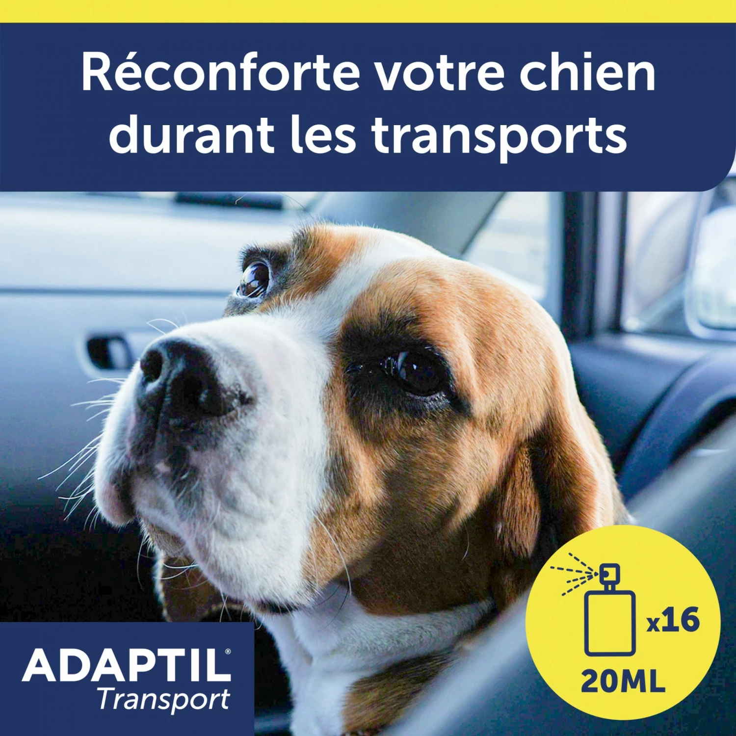 ADAPTIL® Transport 2 ADAPTIL® Transport – Image 2