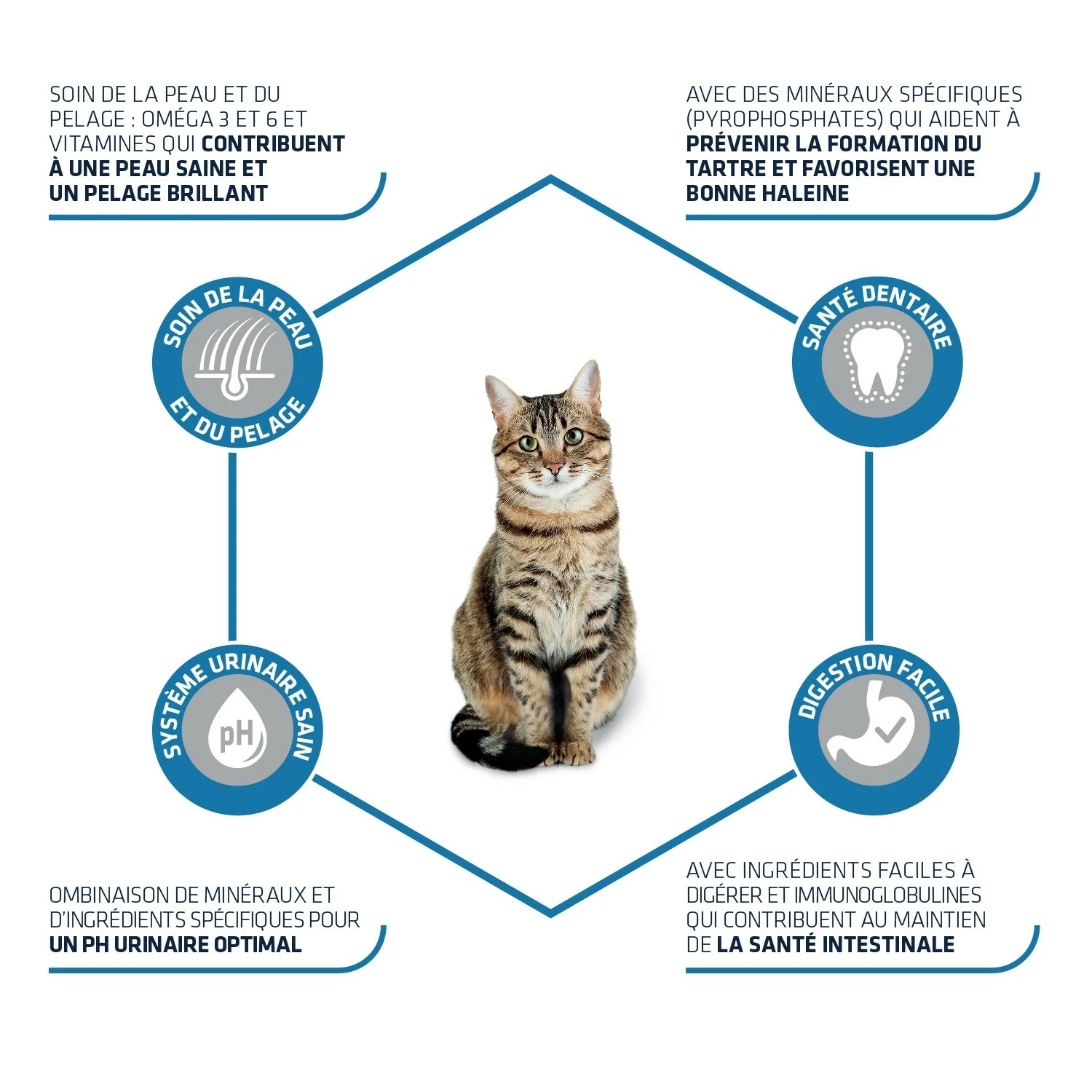 ADVANCE Adult 2 ADVANCE Adult – Image 2