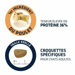 ADVANCE Adult 7 ADVANCE Adult -Promos Wanimo Boutique advance adult adult 2