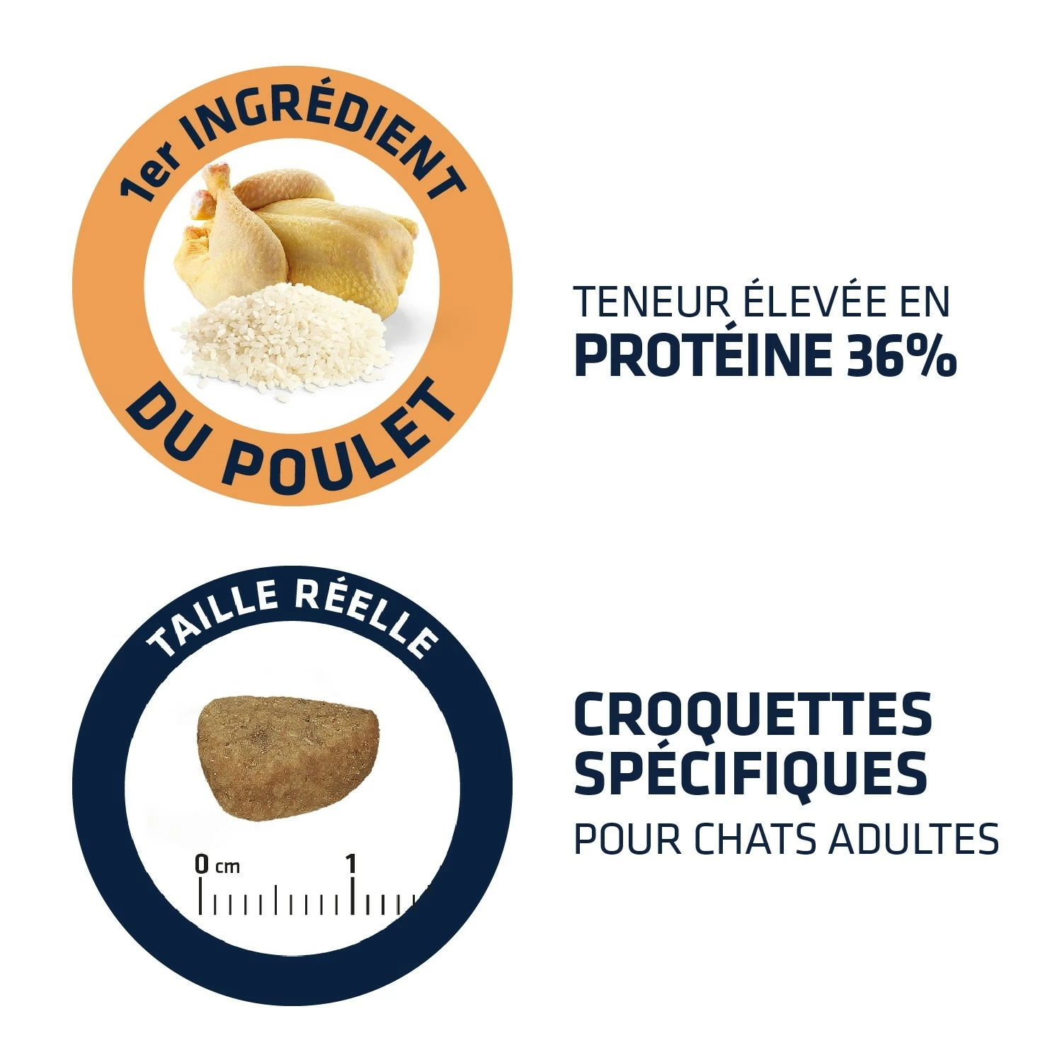 ADVANCE Adult 3 ADVANCE Adult – Image 3