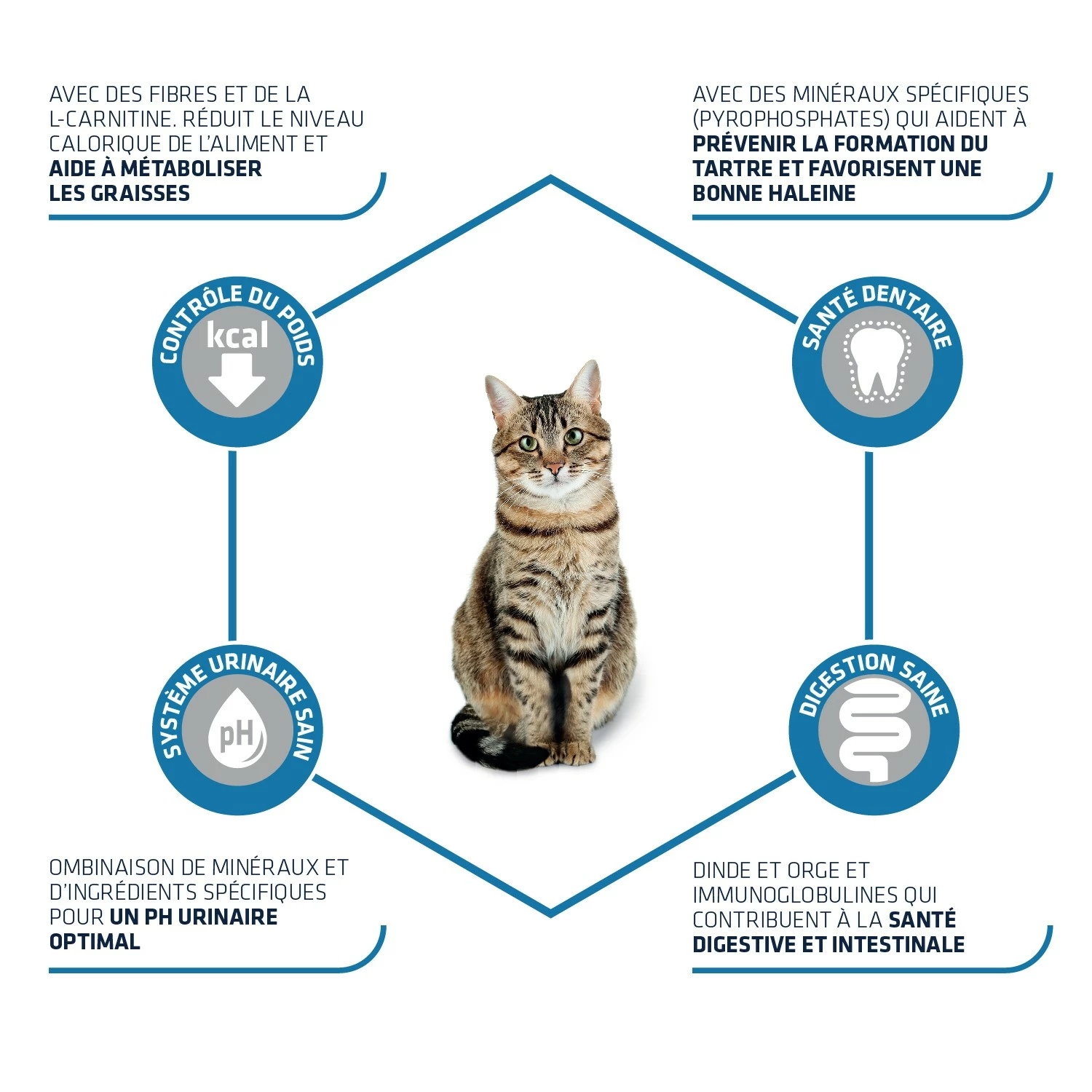 ADVANCE Adult Sterilized 2 ADVANCE Adult Sterilized – Image 2