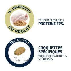 ADVANCE Adult Sterilized 7 ADVANCE Adult Sterilized -Promos Wanimo Boutique advance adult sterilized adult sterilized 2