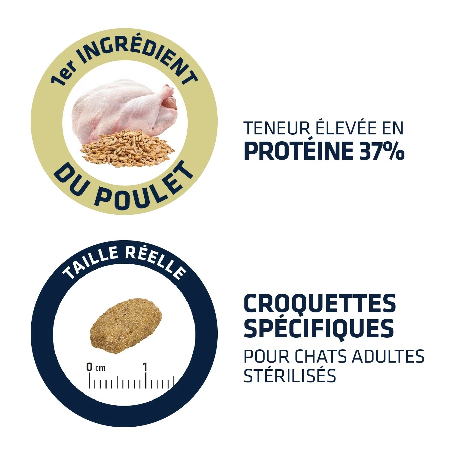 ADVANCE Adult Sterilized 3 ADVANCE Adult Sterilized – Image 3