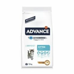 ADVANCE Kitten