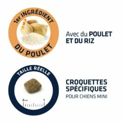 ADVANCE Light Mini Adult -Promos Wanimo Boutique advance light mini adult 1 2