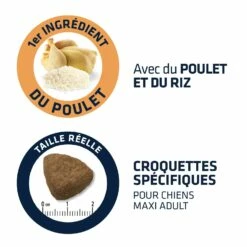 ADVANCE Maxi Adult -Promos Wanimo Boutique advance maxi adult maxi adult 2