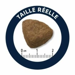 ADVANCE Maxi Adult -Promos Wanimo Boutique advance maxi adult maxi adult 5