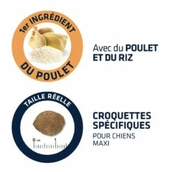 ADVANCE Maxi Light -Promos Wanimo Boutique advance maxi light maxi light 2