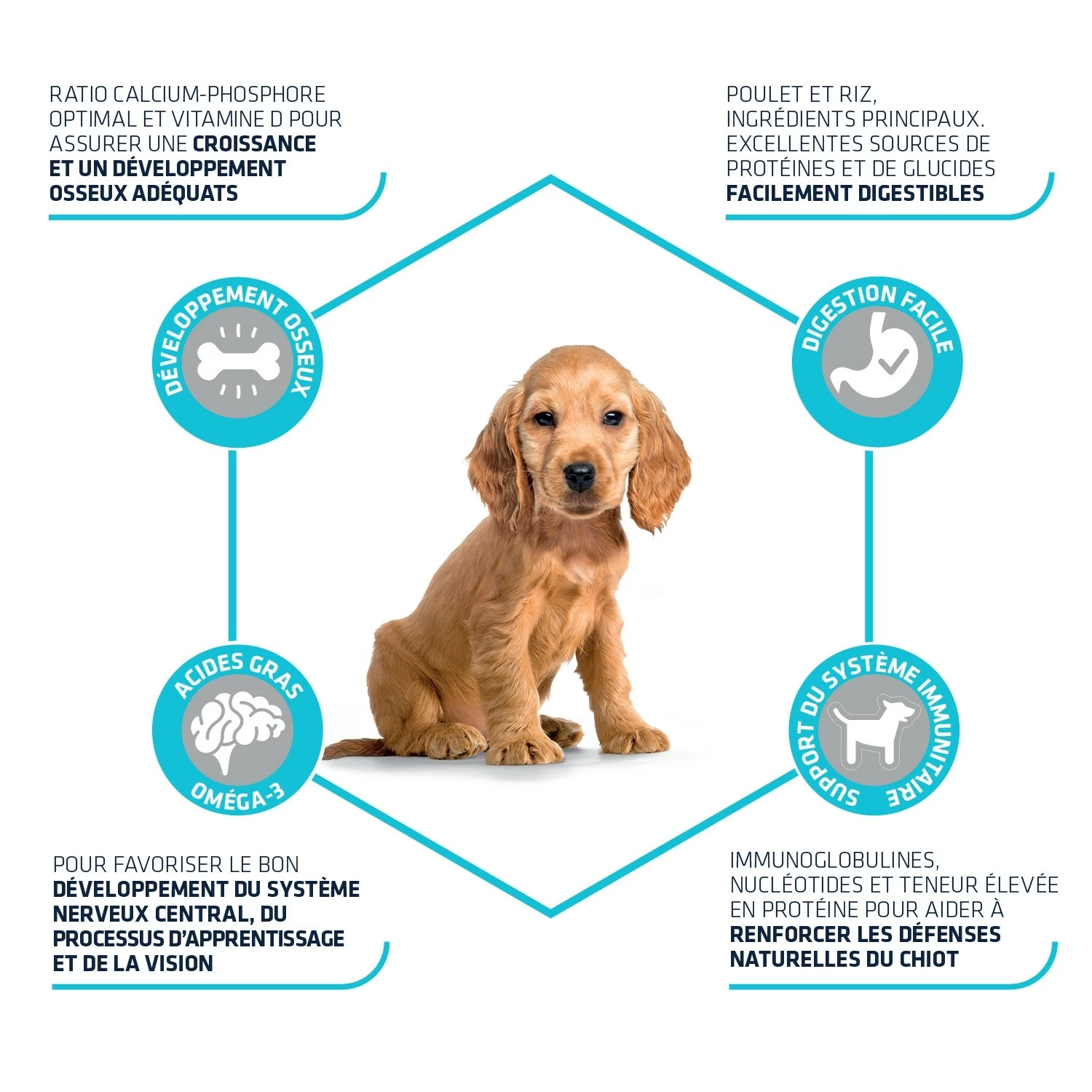 ADVANCE Medium Puppy Protect 2 ADVANCE Medium Puppy Protect – Image 2