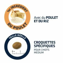 ADVANCE Medium Puppy Protect 7 ADVANCE Medium Puppy Protect -Promos Wanimo Boutique advance medium puppy protect medium puppy protect 2