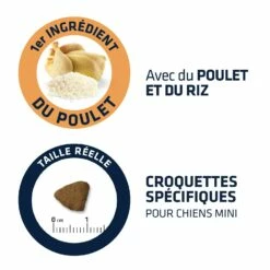 ADVANCE Mini Adult -Promos Wanimo Boutique advance mini adult mini adult 2