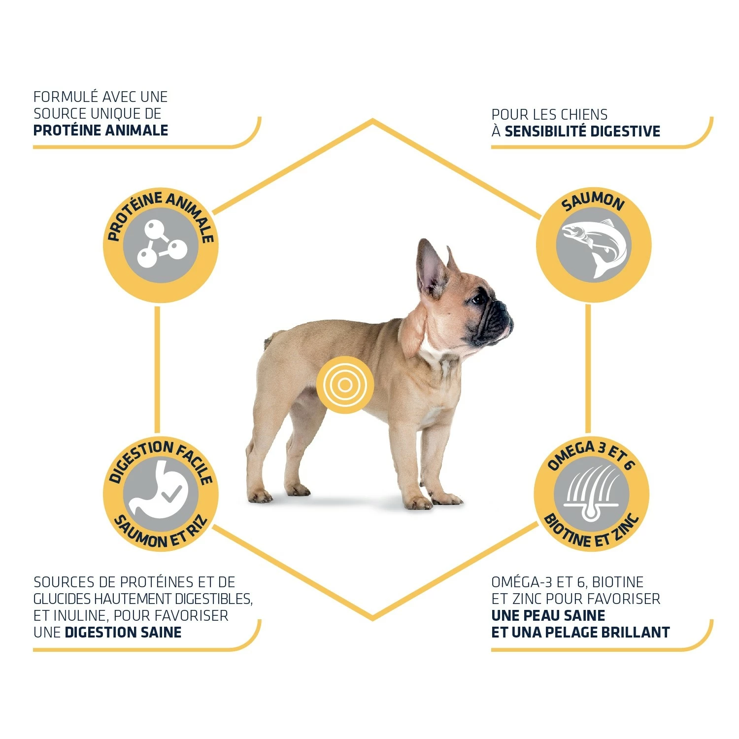 ADVANCE Mini Sensitive - Sensibilité Alimentaire 2 ADVANCE Mini Sensitive - Sensibilité Alimentaire – Image 2