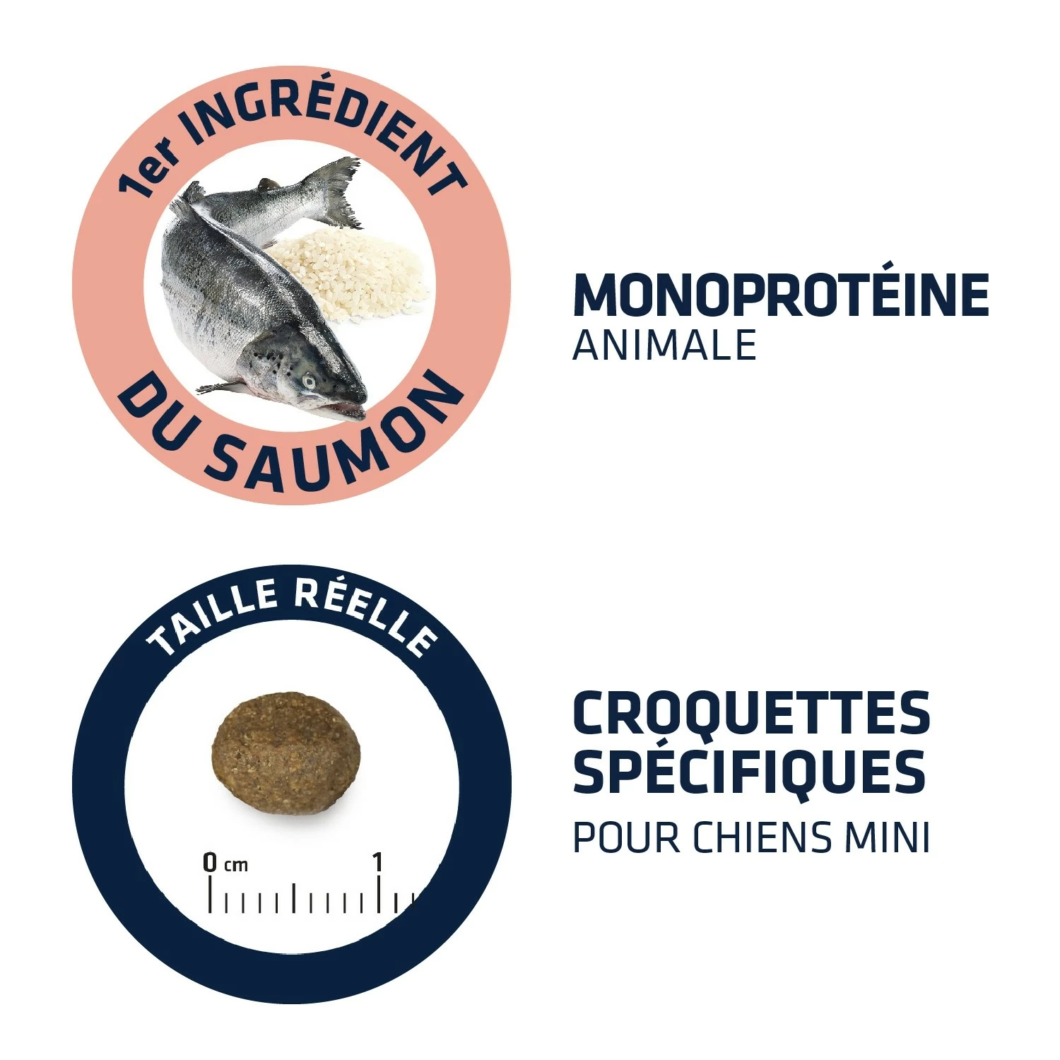 ADVANCE Mini Sensitive - Sensibilité Alimentaire 3 ADVANCE Mini Sensitive - Sensibilité Alimentaire – Image 3