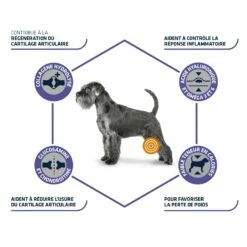 ADVANCE Veterinary Diets Articular Care Reduced Calorie -Promos Wanimo Boutique advance veterinary diets articular care reduced calorie articular care reduced calorie 3