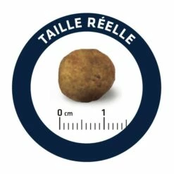 ADVANCE Veterinary Diets Articular Care Reduced Calorie -Promos Wanimo Boutique advance veterinary diets articular care reduced calorie articular care reduced calorie 5