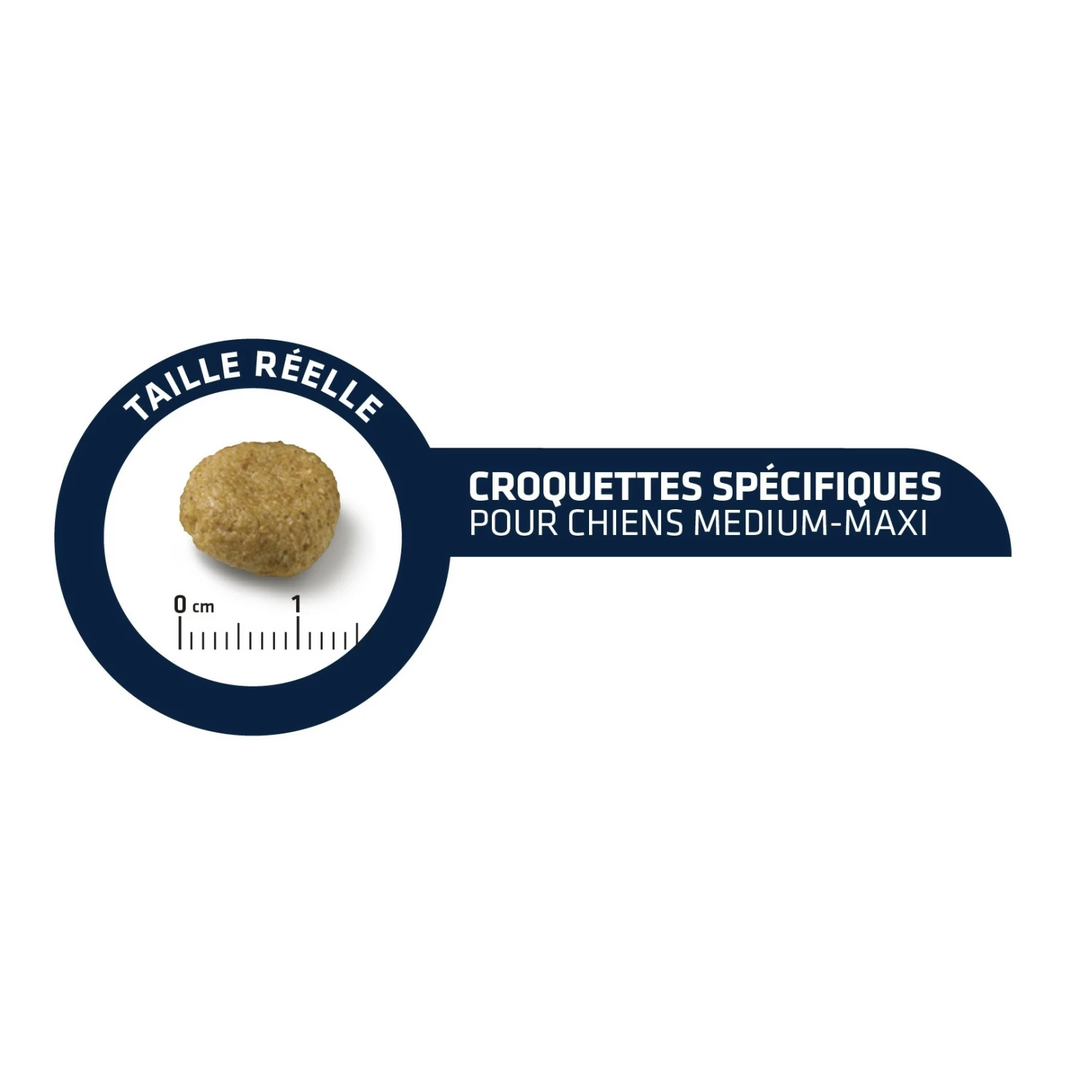 ADVANCE Veterinary Diets Atopic - Croquettes Pour Chien 3 ADVANCE Veterinary Diets Atopic - Croquettes Pour Chien – Image 3