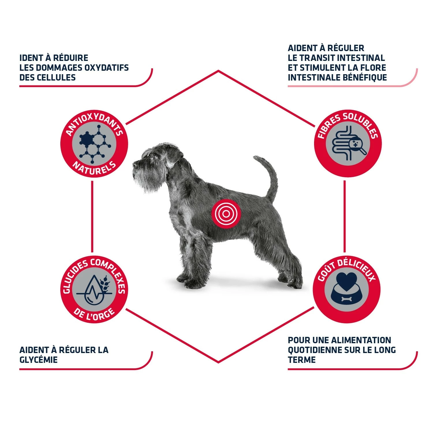 ADVANCE Veterinary Diets Diabetes Colitis 2 ADVANCE Veterinary Diets Diabetes Colitis – Image 2