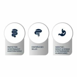 ADVANCE Veterinary Diets Gastroenteric Sensitive 7 ADVANCE Veterinary Diets Gastroenteric Sensitive -Promos Wanimo Boutique advance veterinary diets gastroenteric sensitive gastroenteric sensitive 2