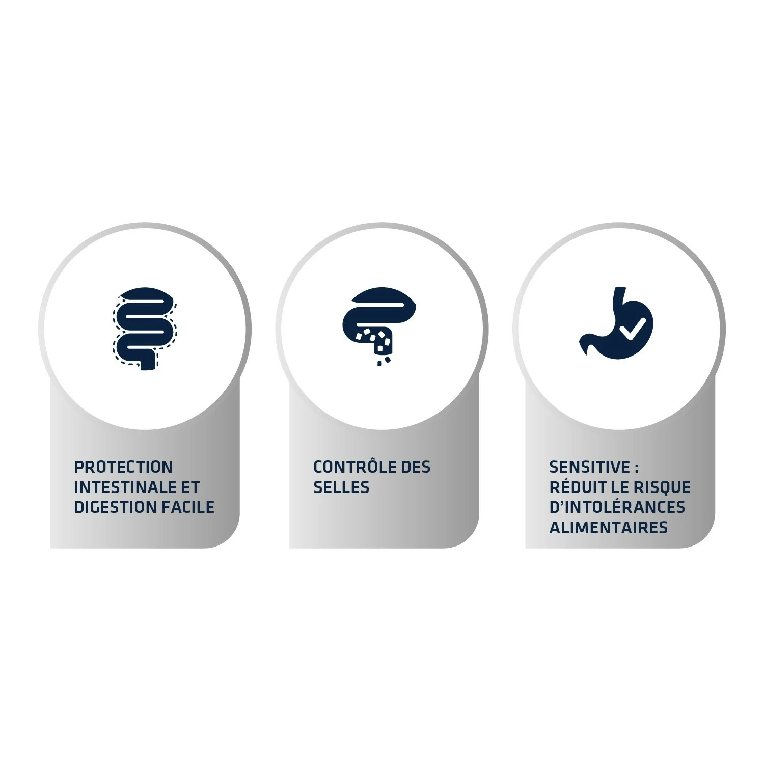 ADVANCE Veterinary Diets Gastroenteric Sensitive 3 ADVANCE Veterinary Diets Gastroenteric Sensitive – Image 3