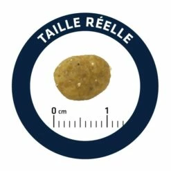 ADVANCE Veterinary Diets Gastroenteric Sensitive 8 ADVANCE Veterinary Diets Gastroenteric Sensitive -Promos Wanimo Boutique advance veterinary diets gastroenteric sensitive gastroenteric sensitive 3