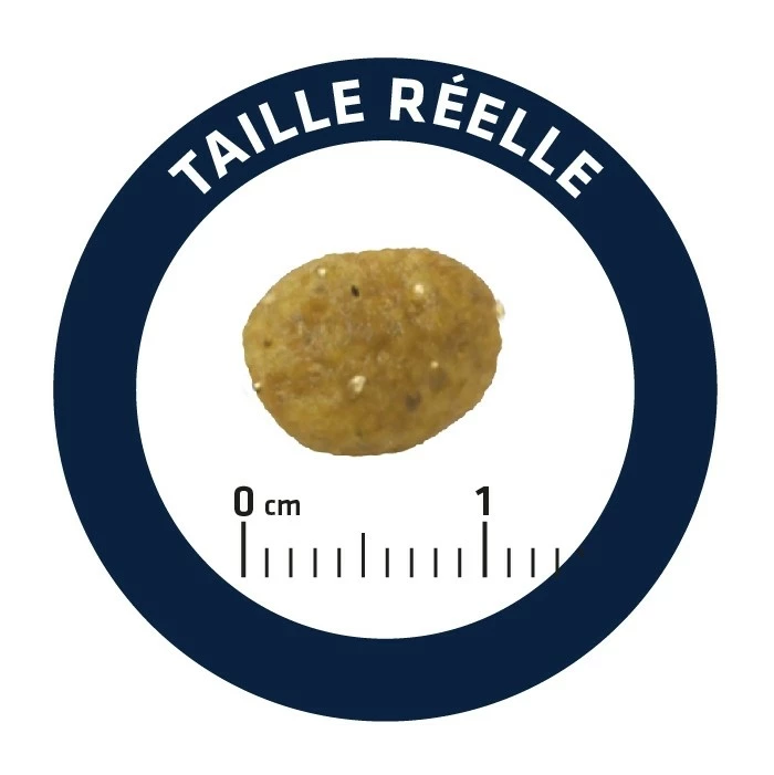 ADVANCE Veterinary Diets Gastroenteric Sensitive 4 ADVANCE Veterinary Diets Gastroenteric Sensitive – Image 4