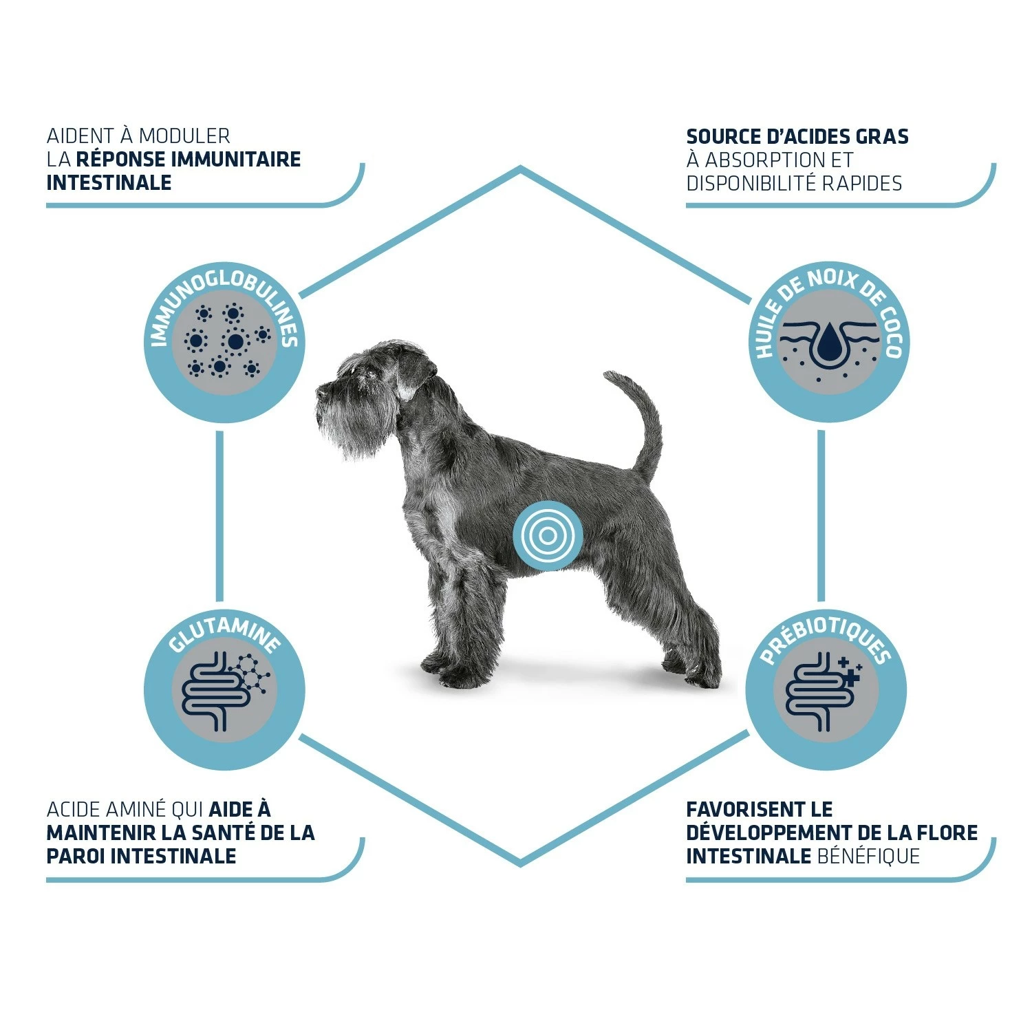 Advance Veterinary Diets Gastroenteritic - Croquettes Pour Chien 2 Advance Veterinary Diets Gastroenteritic - Croquettes Pour Chien – Image 2