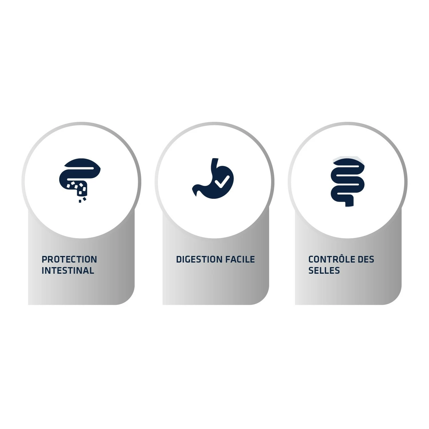 Advance Veterinary Diets Gastroenteritic - Croquettes Pour Chien 3 Advance Veterinary Diets Gastroenteritic - Croquettes Pour Chien – Image 3