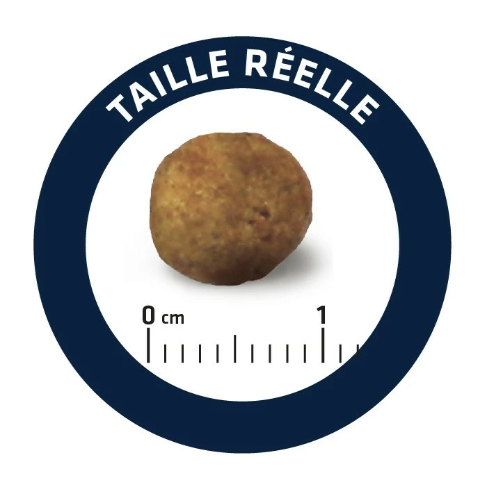 Advance Veterinary Diets Gastroenteritic - Croquettes Pour Chien 4 Advance Veterinary Diets Gastroenteritic - Croquettes Pour Chien – Image 4