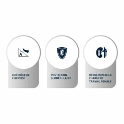 ADVANCE Veterinary Diets Renal Failure 8 ADVANCE Veterinary Diets Renal Failure -Promos Wanimo Boutique advance veterinary diets renal failure renal failure 2