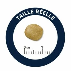 ADVANCE Veterinary Diets Renal Failure 9 ADVANCE Veterinary Diets Renal Failure -Promos Wanimo Boutique advance veterinary diets renal failure renal failure 3