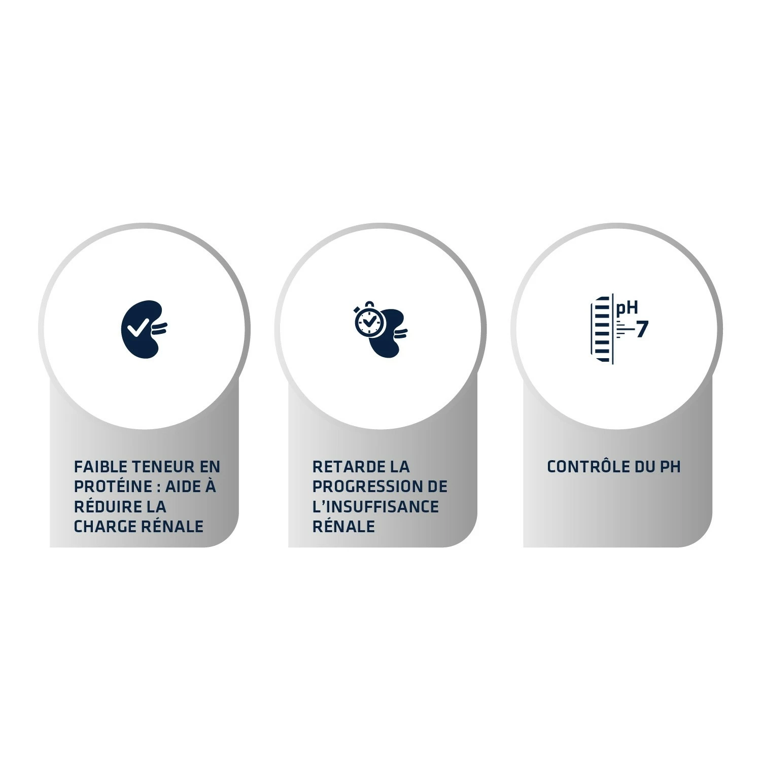 ADVANCE Veterinary Diets Renal 3 ADVANCE Veterinary Diets Renal – Image 3