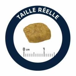 ADVANCE Veterinary Diets Renal 8 ADVANCE Veterinary Diets Renal -Promos Wanimo Boutique advance veterinary diets renal renal 3