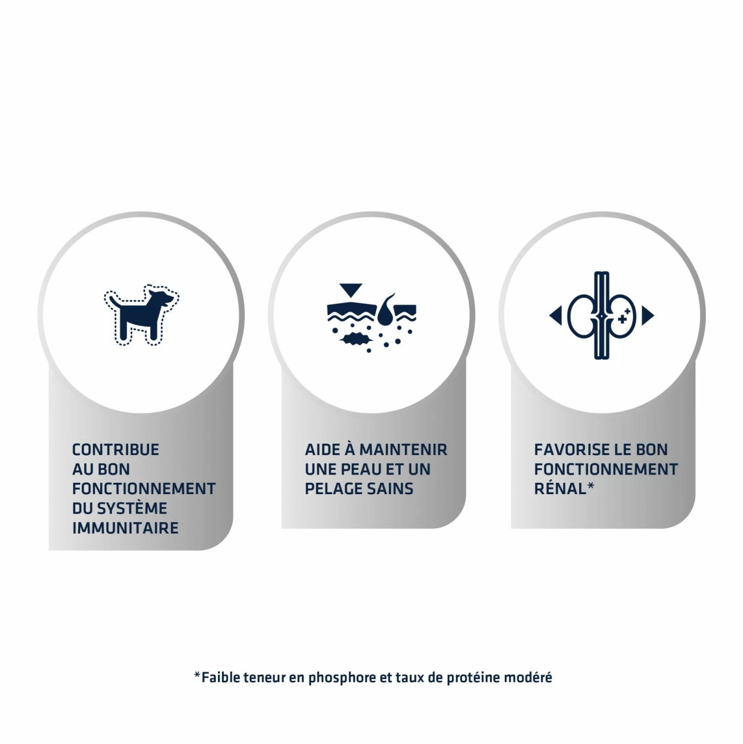 ADVANCE Veterinary Diets Urinary Low Purine - Croquettes Pour Chien 2 ADVANCE Veterinary Diets Urinary Low Purine - Croquettes Pour Chien – Image 2