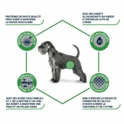 ADVANCE Veterinary Diets Urinary Low Purine - Croquettes Pour Chien 8 ADVANCE Veterinary Diets Urinary Low Purine - Croquettes Pour Chien -Promos Wanimo Boutique advance veterinary diets urinary low purine croquettes pour chien 1 2