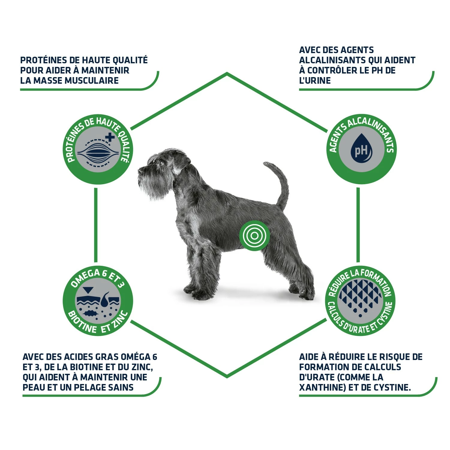 ADVANCE Veterinary Diets Urinary Low Purine - Croquettes Pour Chien 3 ADVANCE Veterinary Diets Urinary Low Purine - Croquettes Pour Chien – Image 3