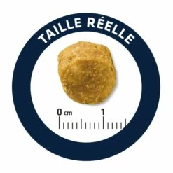 ADVANCE Veterinary Diets Urinary Low Purine - Croquettes Pour Chien 9 ADVANCE Veterinary Diets Urinary Low Purine - Croquettes Pour Chien -Promos Wanimo Boutique advance veterinary diets urinary low purine croquettes pour chien 1 3