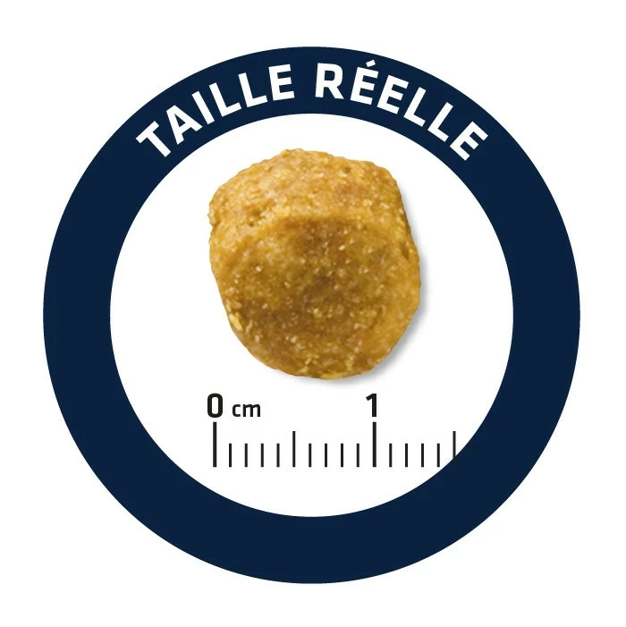 ADVANCE Veterinary Diets Urinary Low Purine - Croquettes Pour Chien 4 ADVANCE Veterinary Diets Urinary Low Purine - Croquettes Pour Chien – Image 4