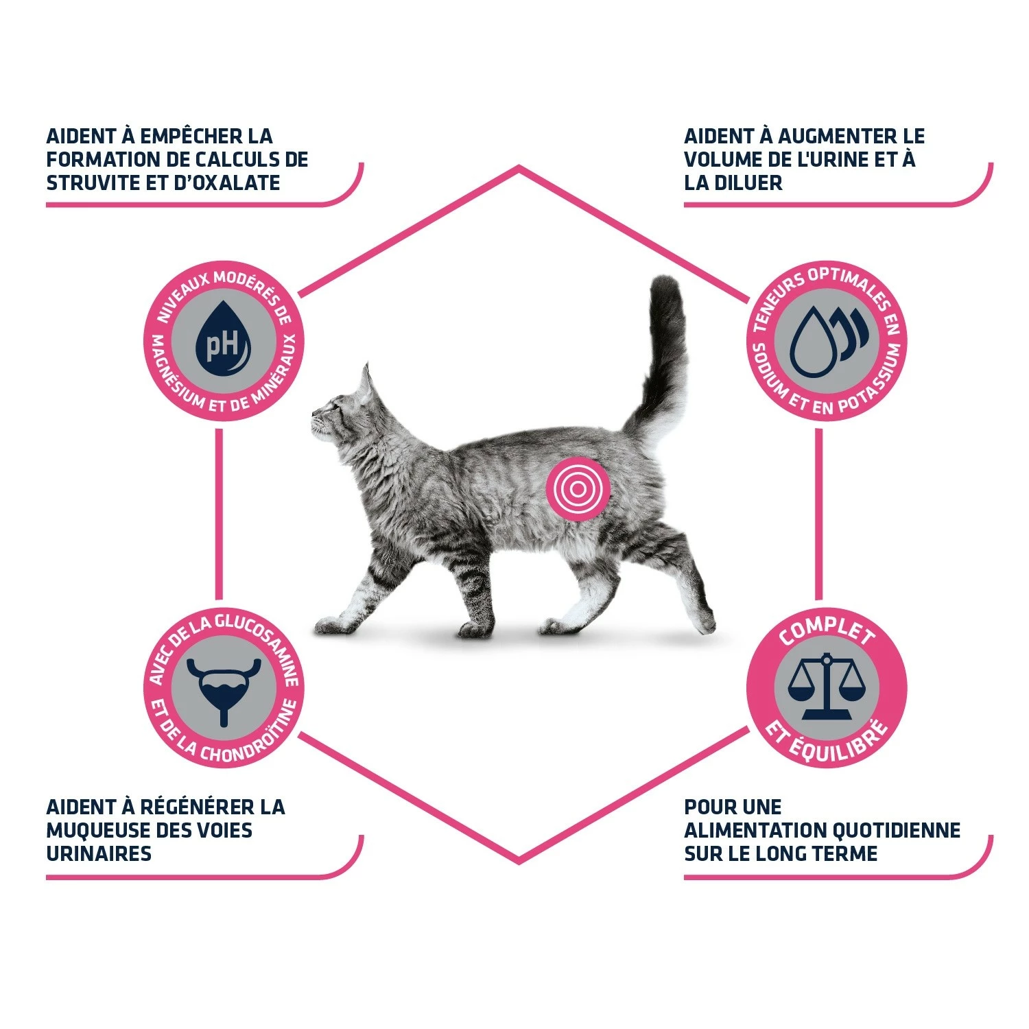 ADVANCE Veterinary Diets Urinary 2 ADVANCE Veterinary Diets Urinary – Image 2