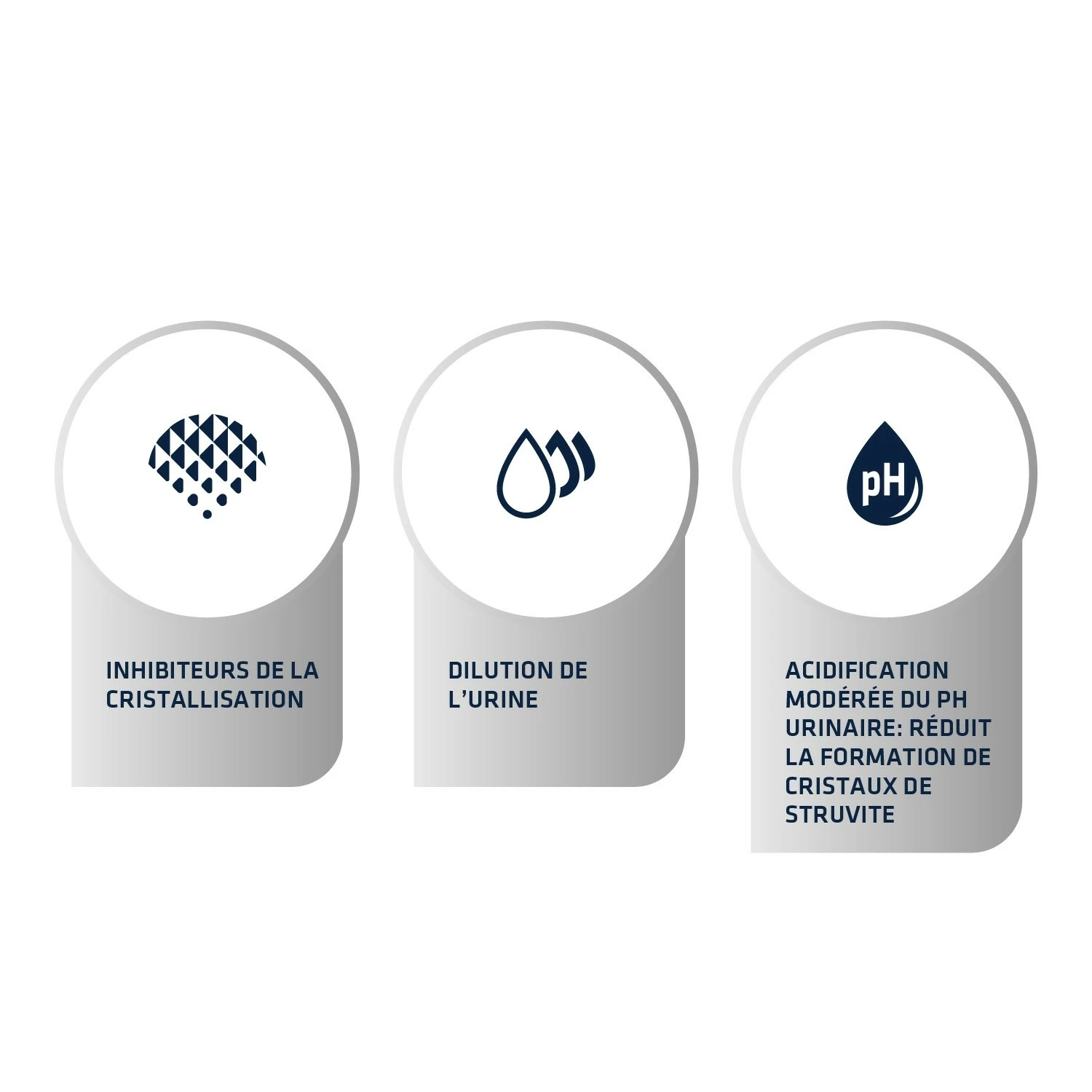 ADVANCE Veterinary Diets Urinary 3 ADVANCE Veterinary Diets Urinary – Image 3