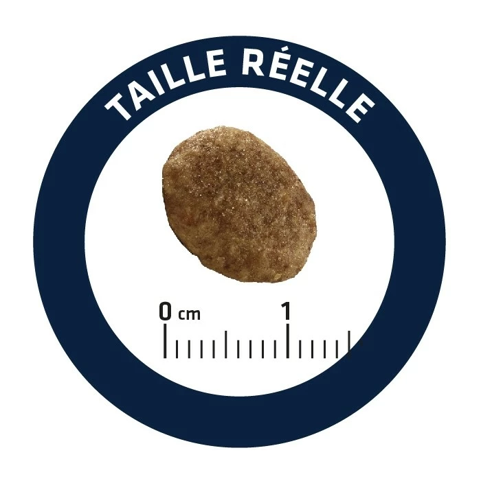 ADVANCE Veterinary Diets Urinary 4 ADVANCE Veterinary Diets Urinary – Image 4