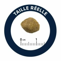 ADVANCE Veterinary Diets Urinary -Promos Wanimo Boutique advance veterinary diets urinary urinary 8