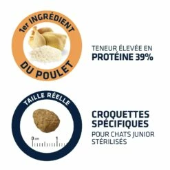 ADVANCE Young Sterilized -Promos Wanimo Boutique advance young sterilized young sterilized 2