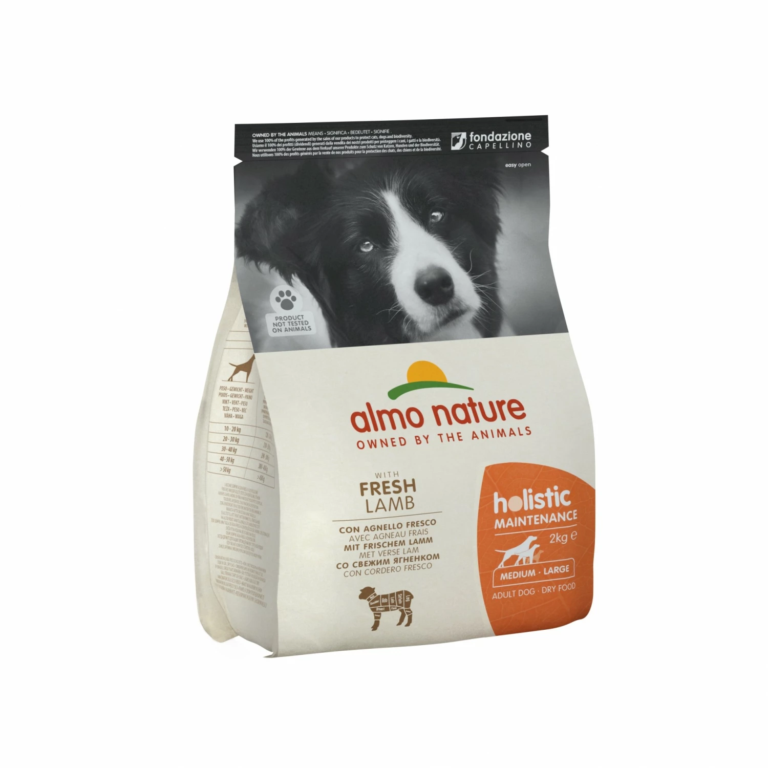 Almo Nature Croquettes Chien Adulte - Holistic Maintenance Medium 1 Almo Nature Croquettes Chien Adulte - Holistic Maintenance Medium