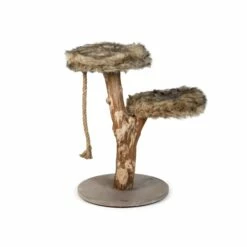 Designed By Lotte Arbre à Chat Aviva