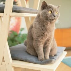 Beeztees Arbre à Chat Mirza 5 Beeztees Arbre à Chat Mirza -Promos Wanimo Boutique arbre a chat mirza beeztees 2