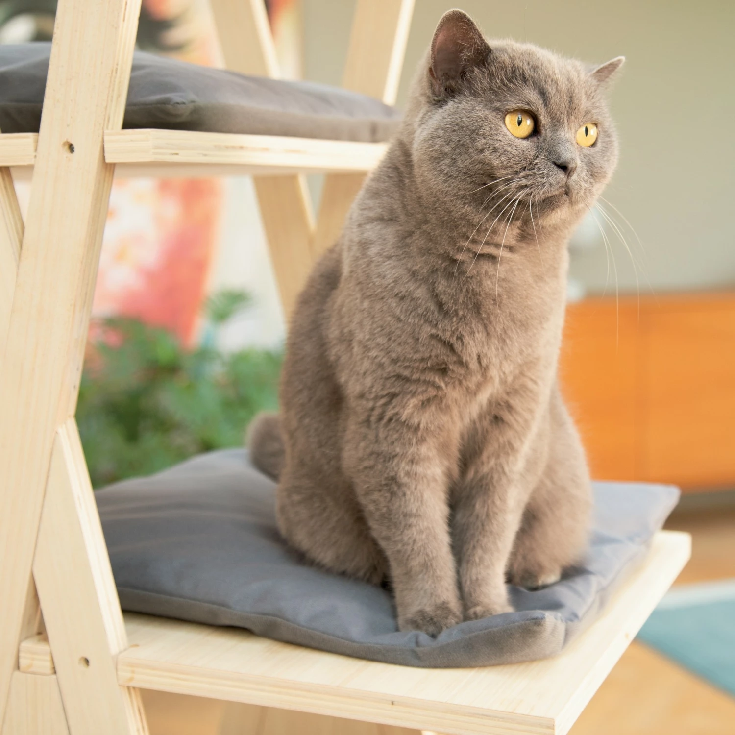 Beeztees Arbre à Chat Mirza 3 Beeztees Arbre à Chat Mirza – Image 3